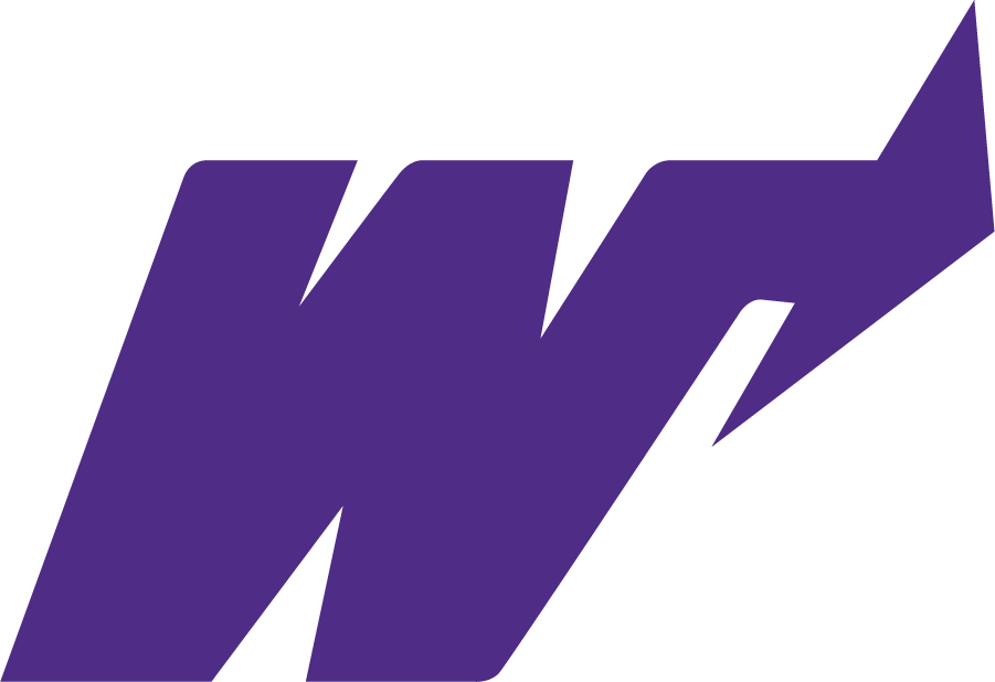 Weber State Wildcats 1973-1996 Primary Logo diy iron on heat transfer